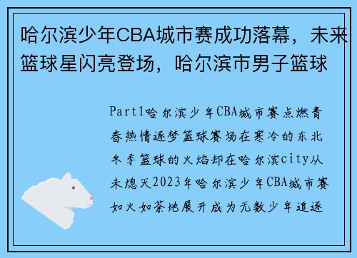 哈尔滨少年CBA城市赛成功落幕,未来篮球星闪亮登场,哈尔滨市男子篮球联赛